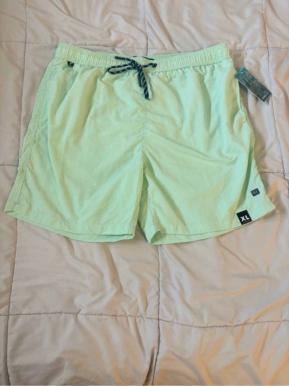 Men's Mint Green Swim Shorts - XL